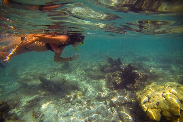 Snorkeling The Coral Reef