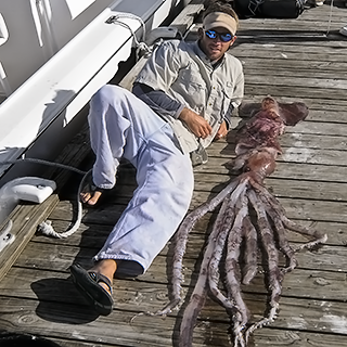 Giant Squid Off Key West