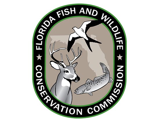 Florida Fish & Wildlife