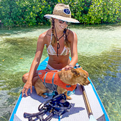 Mangrove Paddleboard Puppy